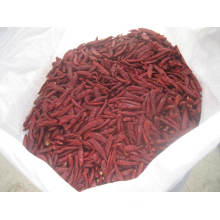 New Crop Natural SGS HACCP Chaotian Chili